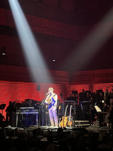 Icelandic singer-songwriter Ásgeir performing on stage of the Eldborg auditorium at the Harpa Concert hall in Reykjavik, Iceland.