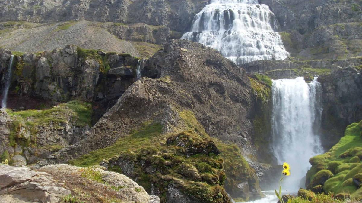 The Giant of an Icelandic Waterfall You Must See Before You Kick the Bucket