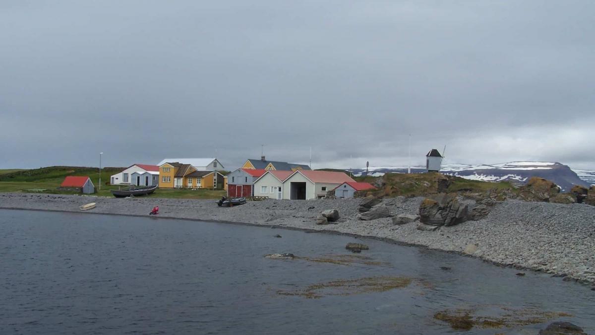 Vigur Island – The Icelandic Paradise at the End of the World