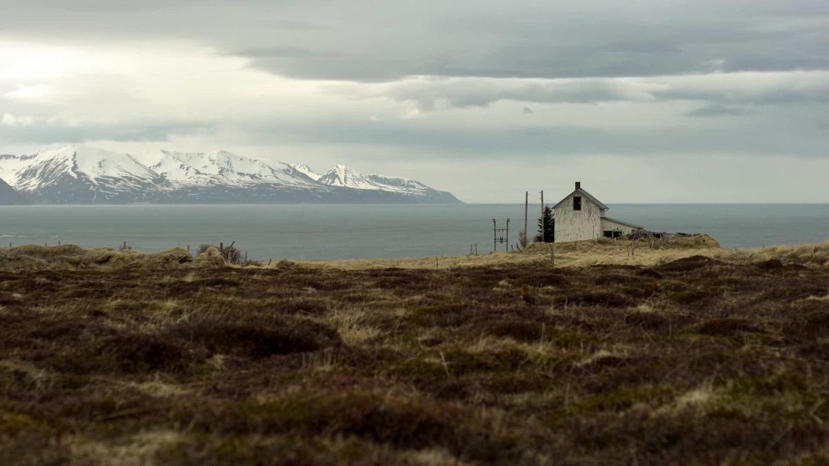 Those Germans Want More Icelandic Music!