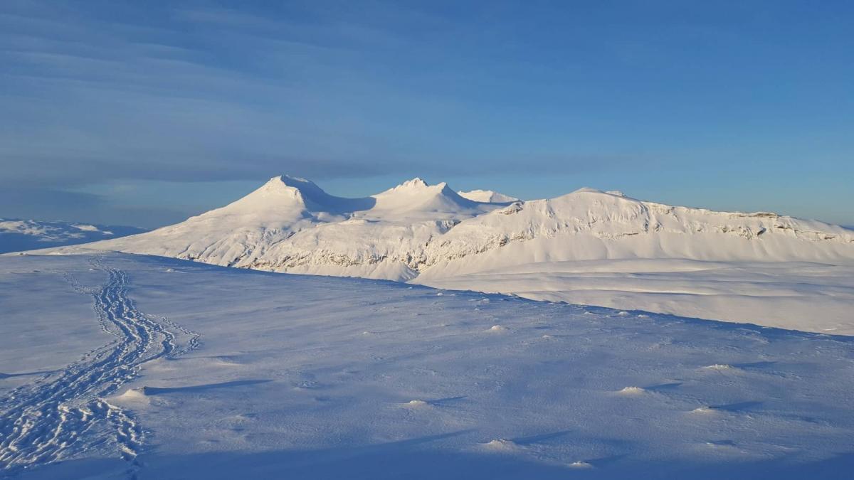 Iceland winter hiking tour – discover winter wonderland