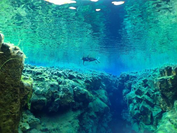 Snorkeling in Silfra is a divine experience.