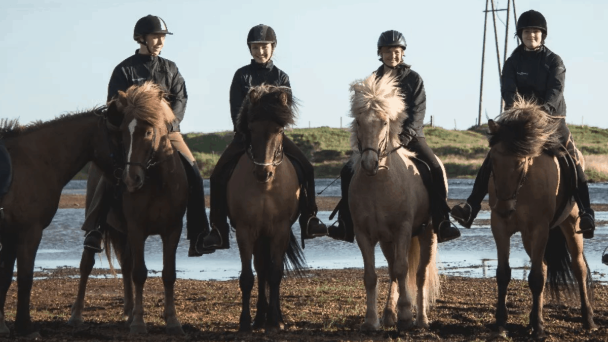 Horseback Riding Tours in Iceland – get 10% off these top rated tours