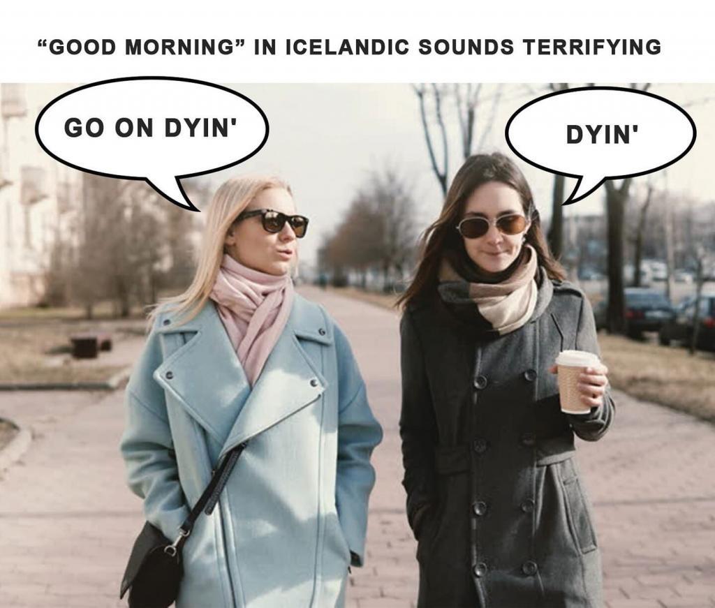 This is how you say 'Góðan daginn' - Learn a few phrases in Icelandic