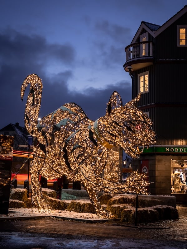 Illuminated Icelandic Christmas cat sculpture (Jólakötturinn) in downtown Reykjavik at dusk with glowing lights and traditional buildings