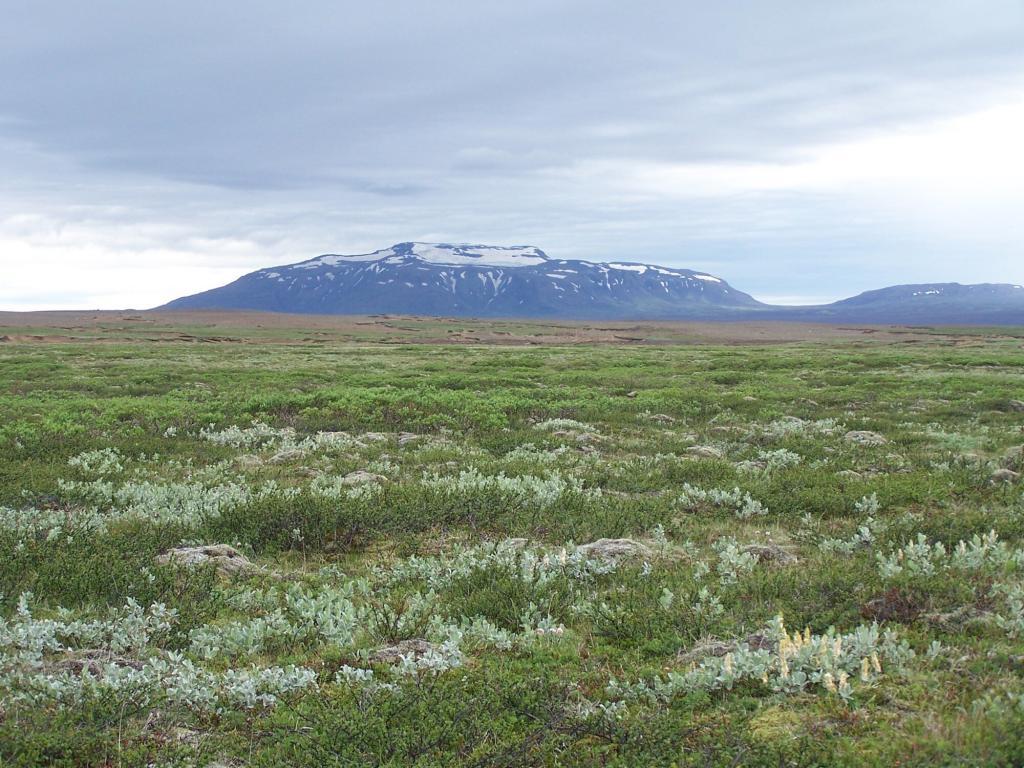 Hrútfell in Iceland