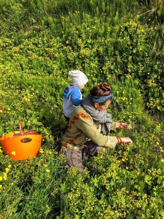 Silla Knudsen picks plants.