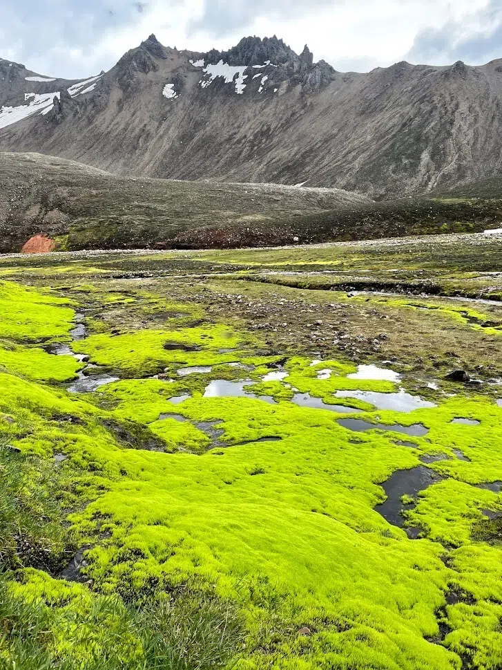 Hiking trail towards Grænihryggur