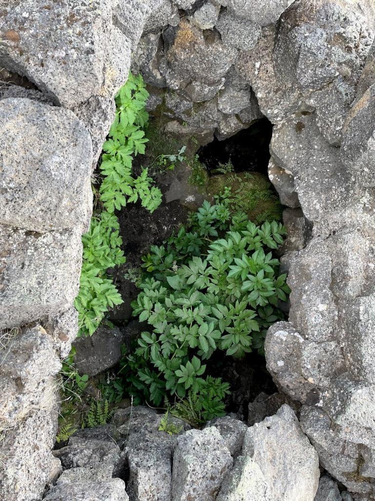 Inside of the lair of the outlaw Eyvindur at Herðubreiðarlindir.