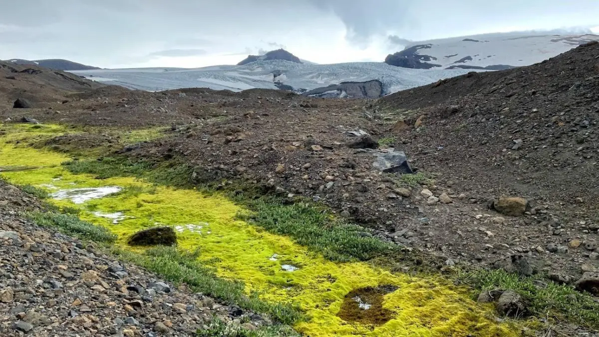 Kverkfjöll mountain range is the rugged jewel of the northern highlands