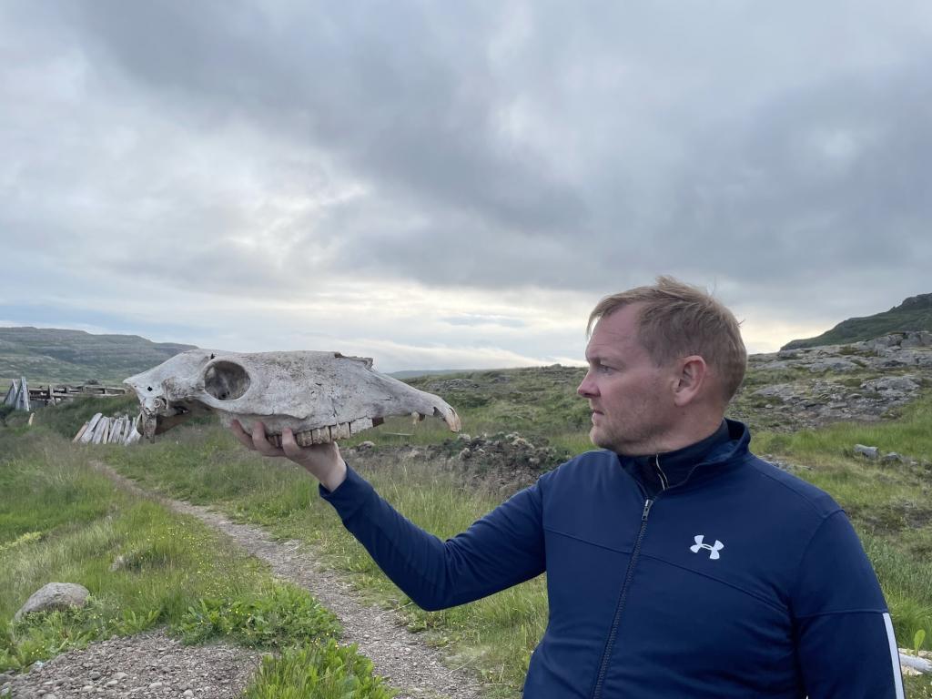 Man holds a horse scull.