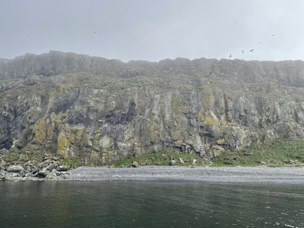 Grímsey, or Puffin Island, has an incredible number of puffins.