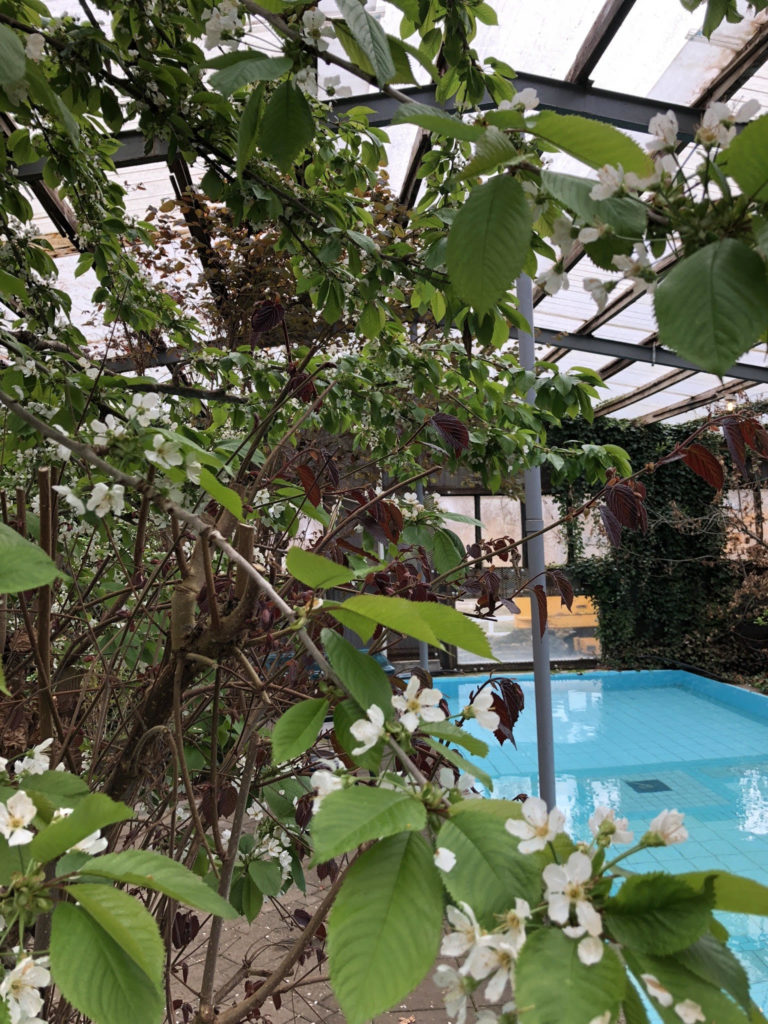 The indoor pool at Heydalur country hotel