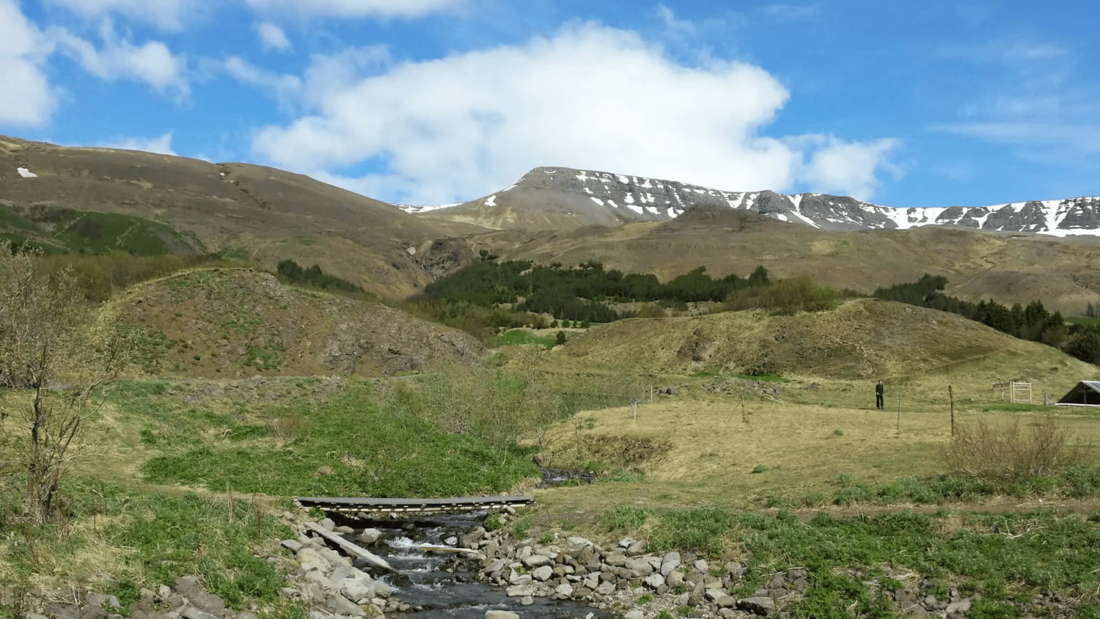 Mt. Esja