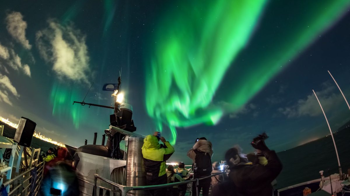 Northern Lights boat tour With Plan B