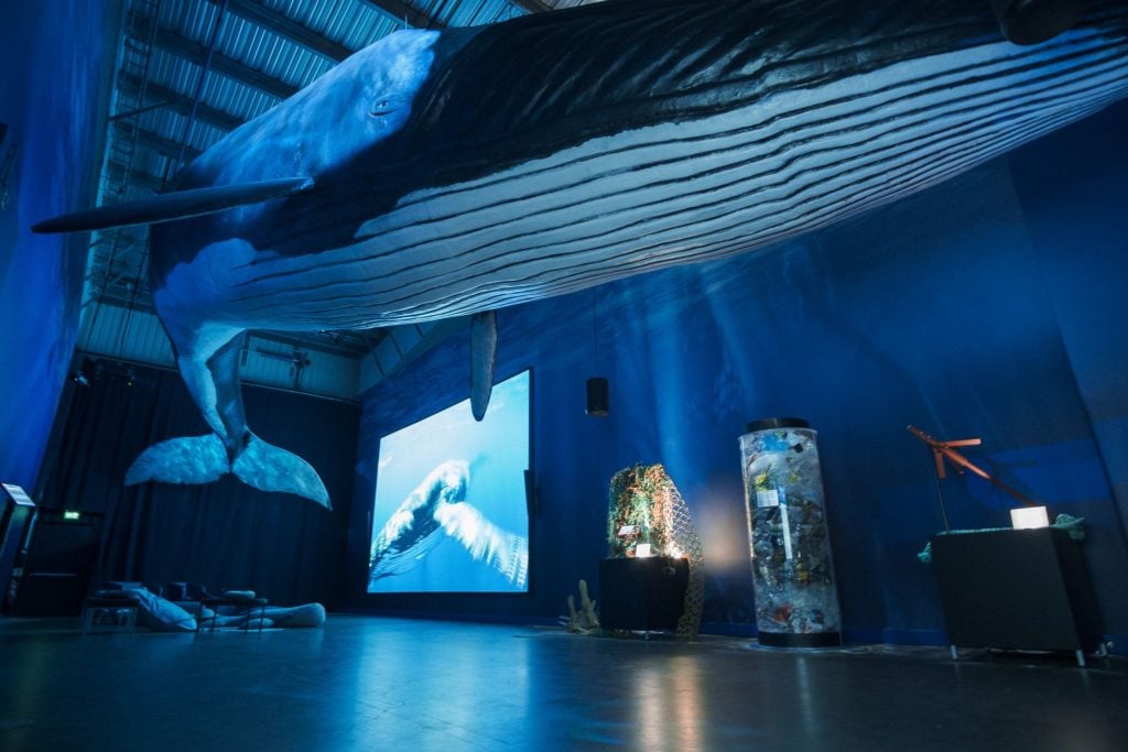 The whales of Iceland exhibition