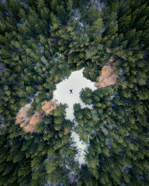 If you get lost in an Icelandic forest, just stand up! Photo by Eyrún Lydía. This image is part of Eyrún's collection of Iceland images.