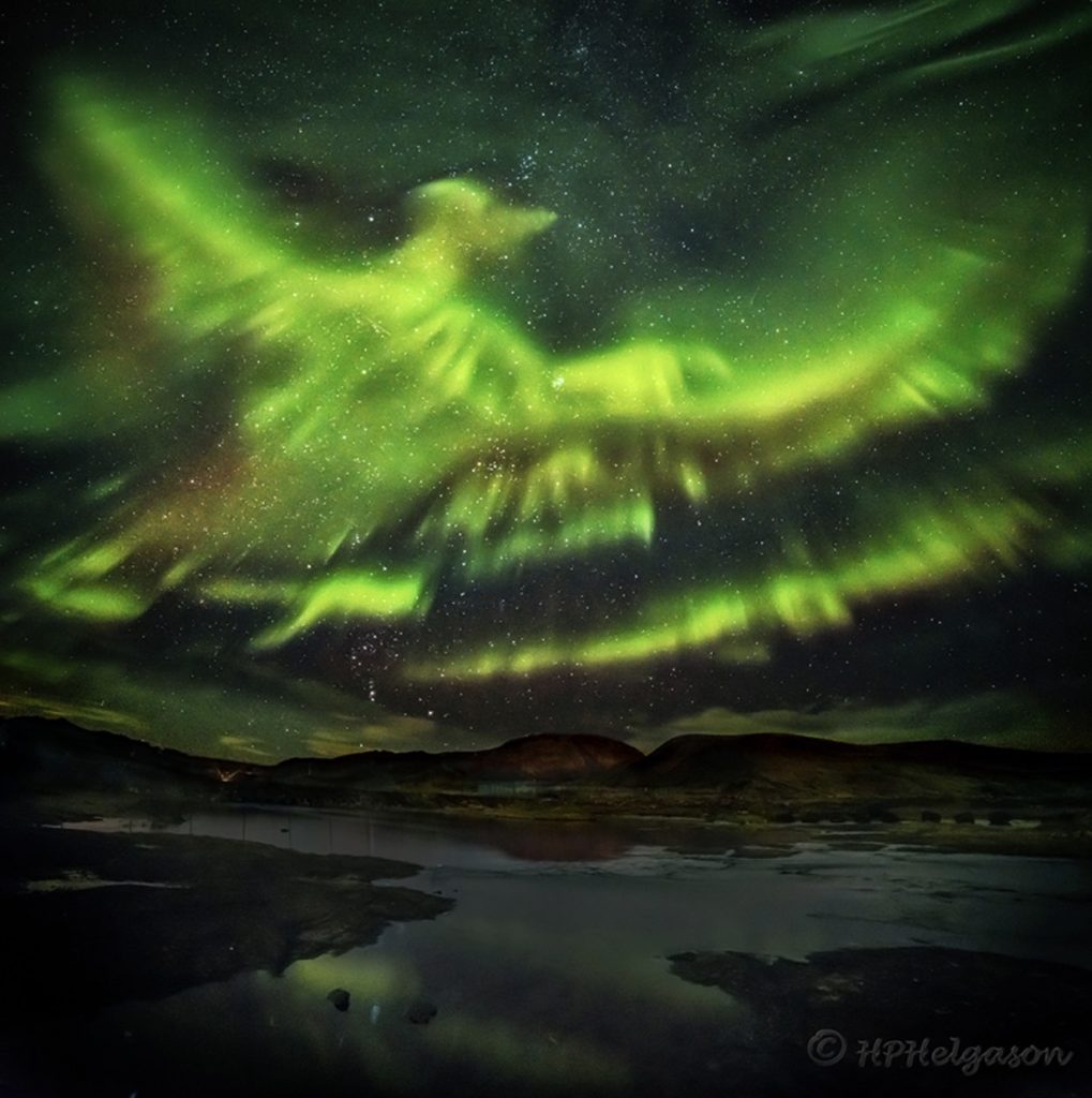 This is how you photograph the northern lights. A bird image from the northern lights by Hallgrímur P. Helgason.
