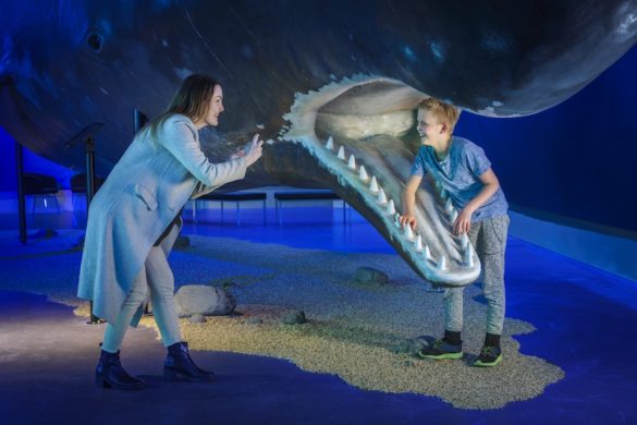 You will discover the world of whales at the Whales of Iceland Museum.