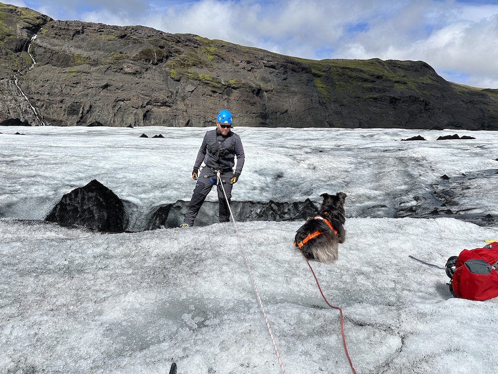 A guide on an Icelandic glacier with a dog