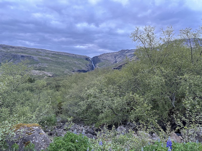 The wonderful Glymur waterfall seen from Botnsdal on the Leggjabrjótur hiking trail in Iceland.