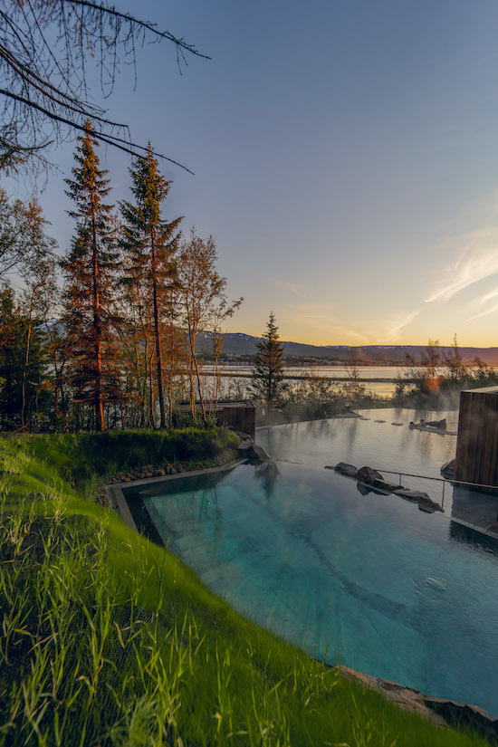 The Forest Lagoon in the morning.