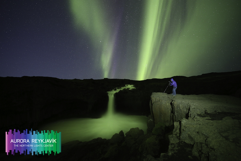 Aldeyjarfoss waterfall in the north of Iceland lit up by the northern lights in winter.
