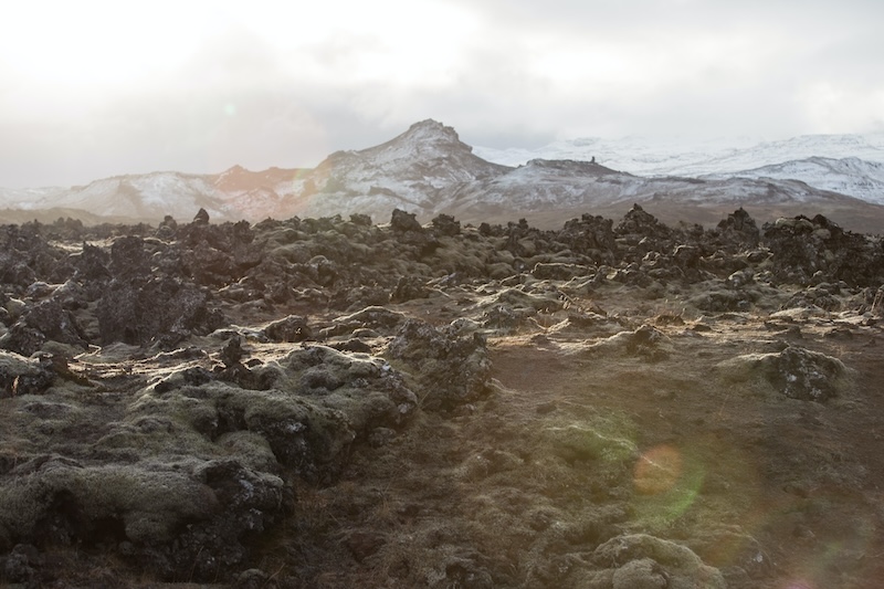 Icelandic lava field.