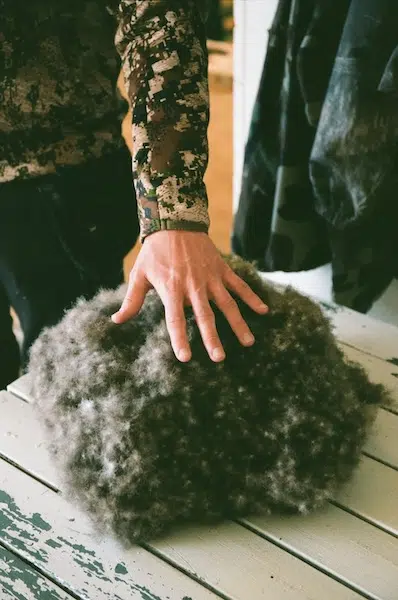 Hand presses down a batch of Icelandic Eiderdown.