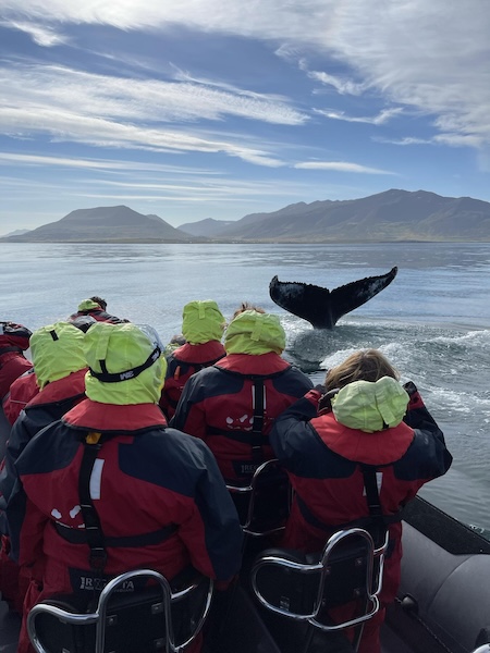 People are getting close and personal with a whale while watching whales in Akureyri.