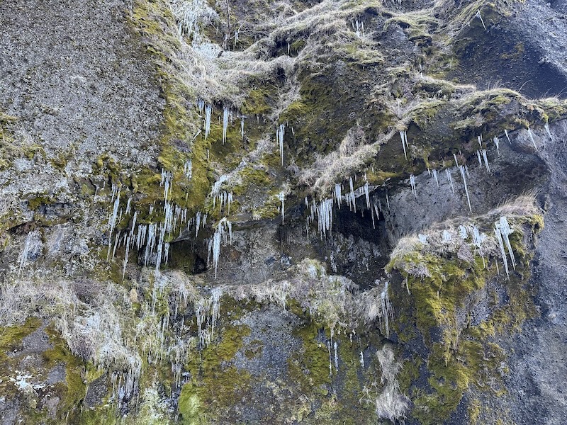 Nature is the true artist. Here is the interplay of moss, rock, and ice in the Stakkholtsgjá canyon.