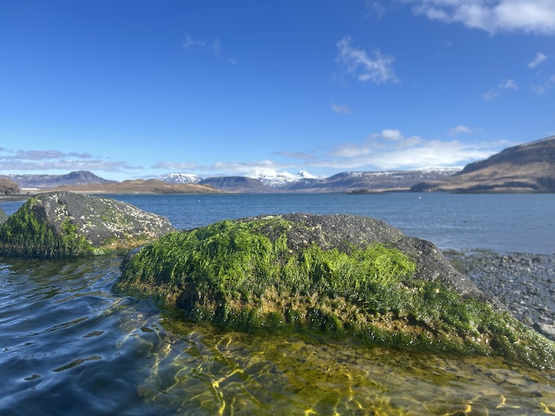 The beautiful view of Hvalfjördur Fjord from Hvammsvík Hot Springs
