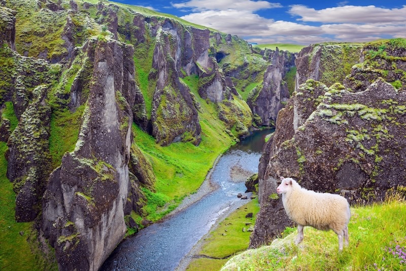 How to have the best possible vacation in Iceland in July or August