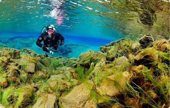 A snorkeler floating in the crystal-clear waters of Silfra fissure in Iceland, with vivid blue water and moss-covered lava rocks beneath the surface.