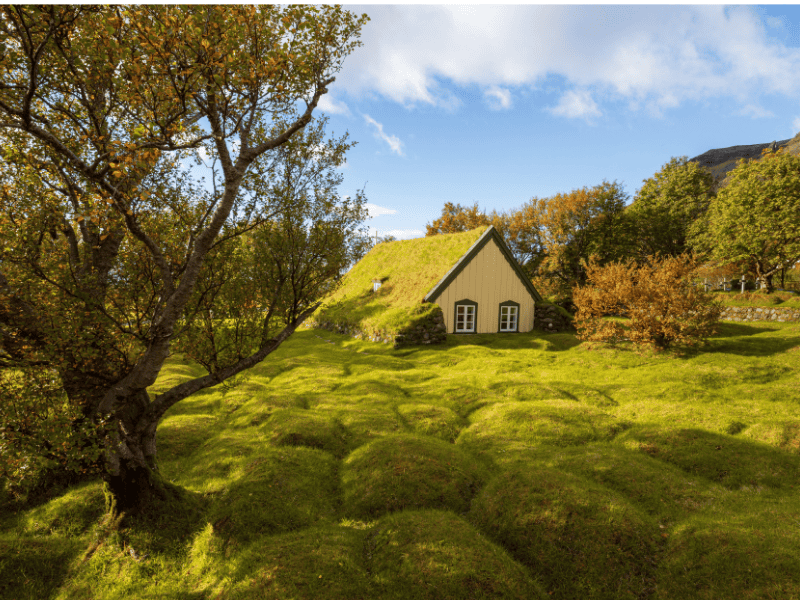 Historic turf church Hofskirkja at Hof in Skaftafell nature reserve Iceland with grass roof and autumn trees